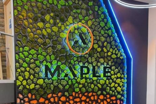 Maple enhance reputation for providing social value across all activities